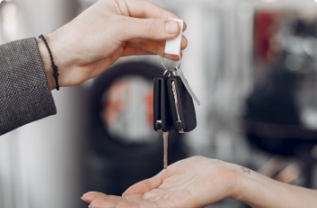 Gestão de património